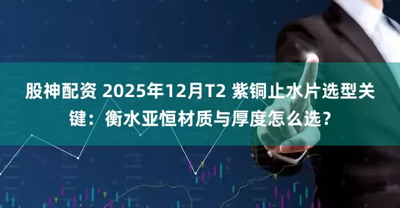 股神配资 2025年12月T2 紫铜止水片选型关键：衡水亚恒材质与厚度怎么选？