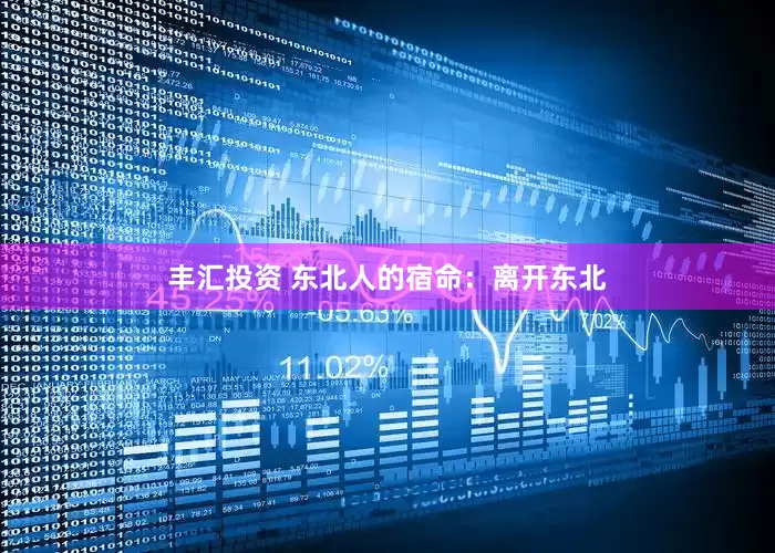 丰汇投资 东北人的宿命：离开东北